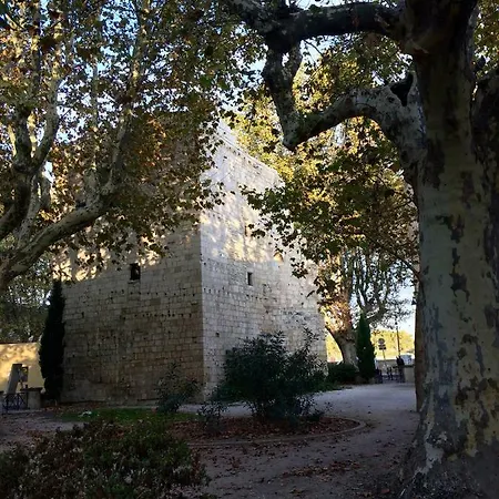 La Maison De Lara Arles